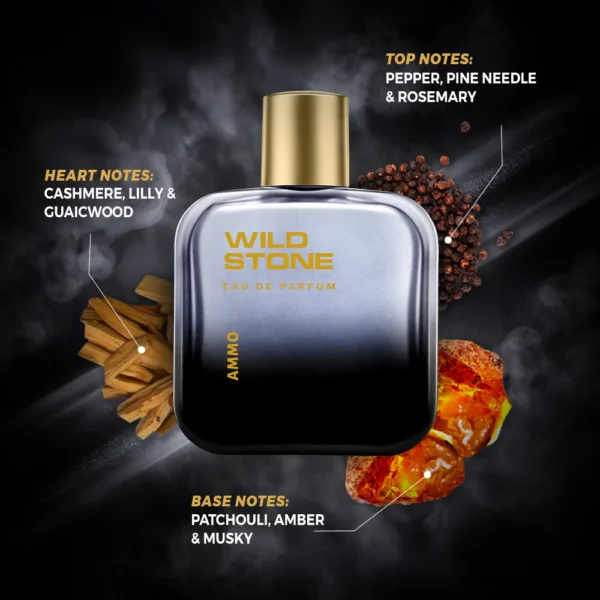 Wild Stone Ammo Perfume for Men, 100ml - Image 2